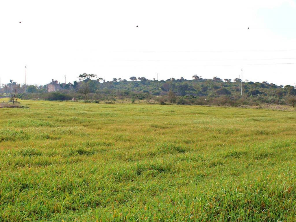 Rustico / casale a Ostuni - Foto 5