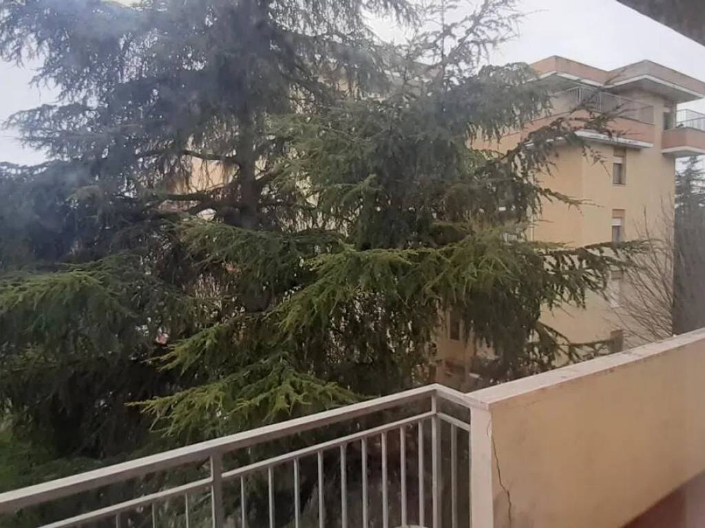 Appartamento a Pisa in Via Ascanio Tealdi - Foto 5