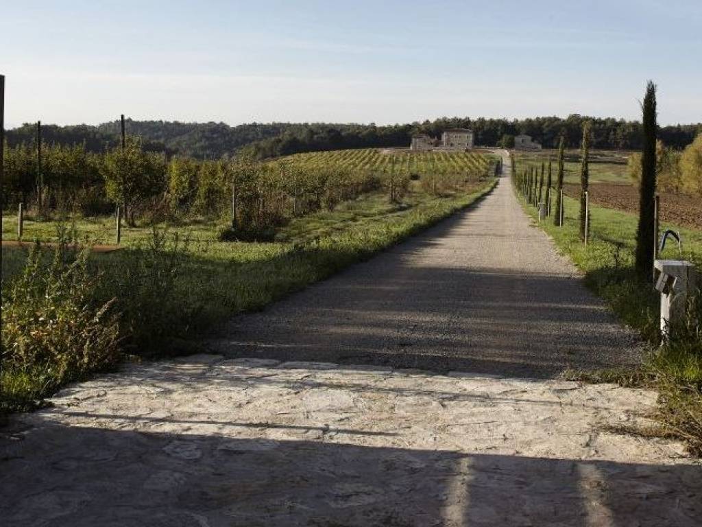 Rustico / casale a Rapolano terme in Via di Rapolano Terme - Foto 2