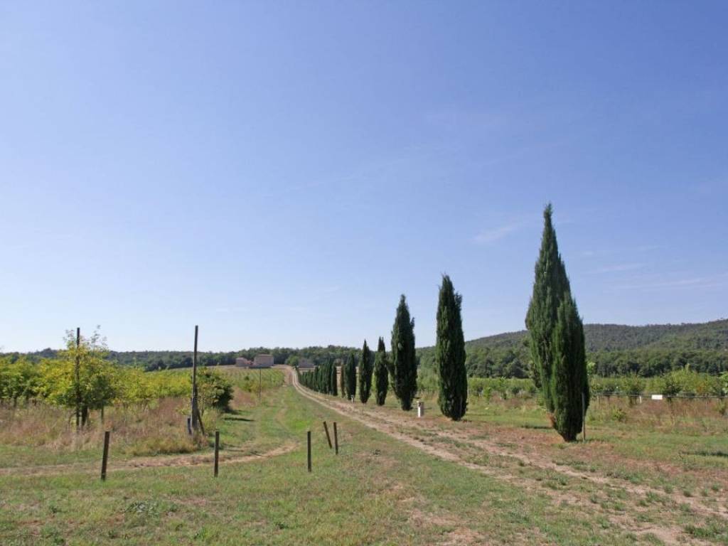Rustico / casale a Rapolano terme in Via di Rapolano Terme - Foto 4