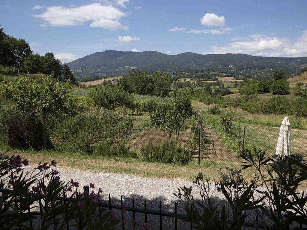 Rustico / casale a Cetona in Via di Cetona - Foto 5