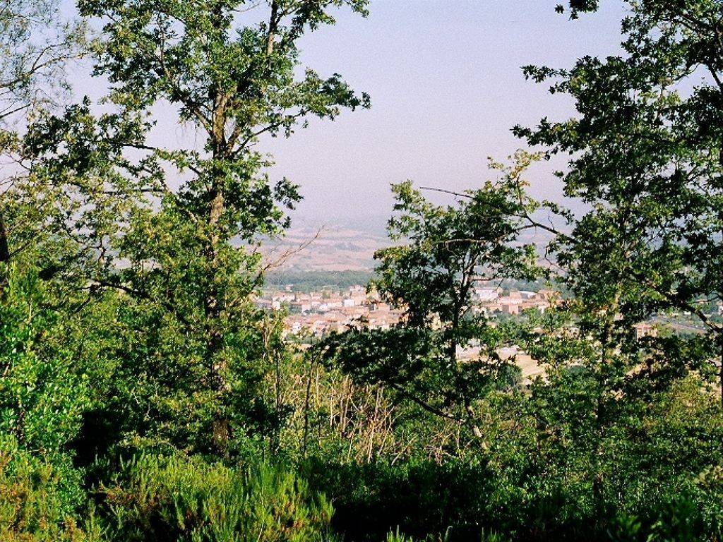 Rustico / casale a Rapolano terme in Via di Rapolano Terme - Foto 3