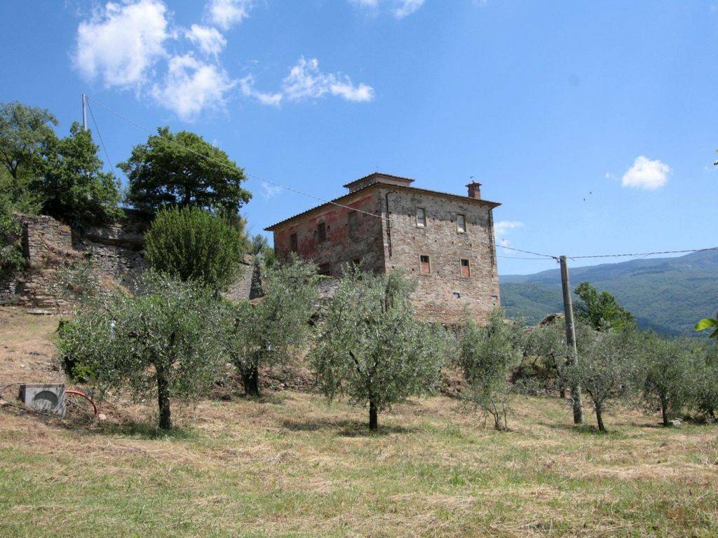 immagine di copertina