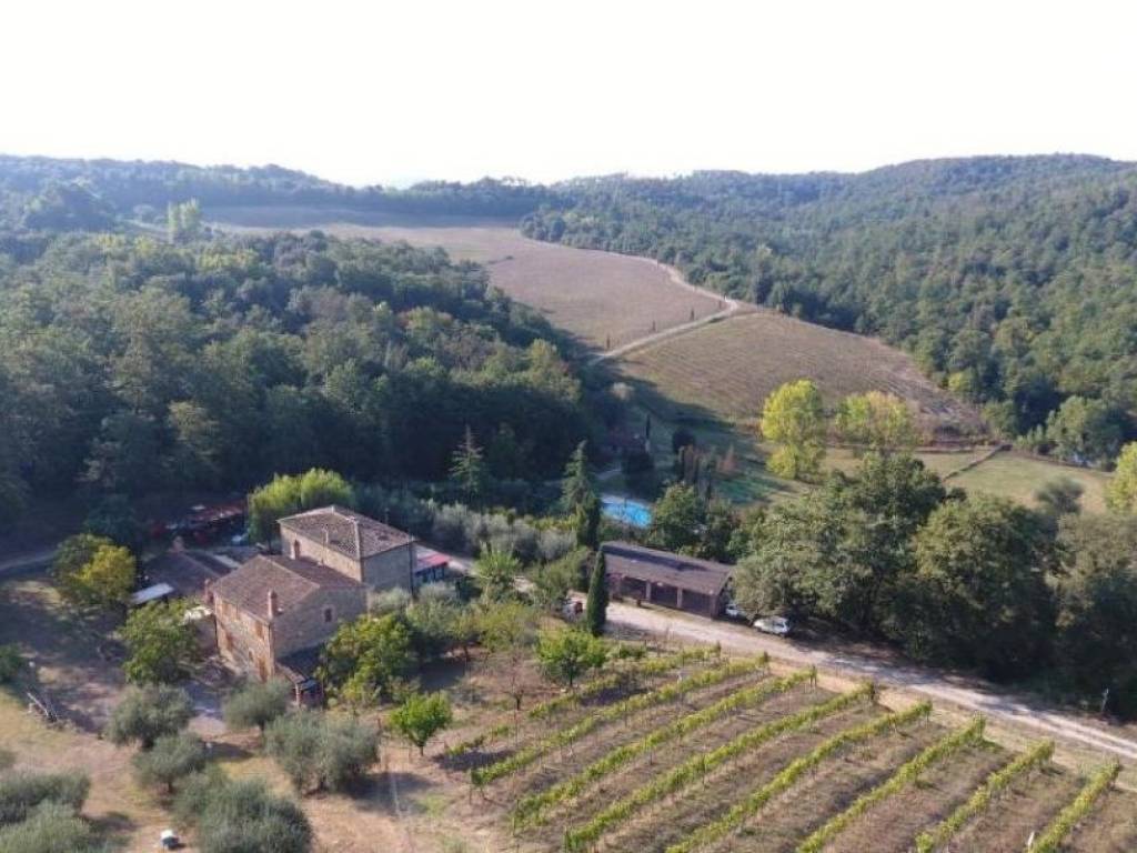 Rustico / casale a Rapolano terme in Via di Rapolano Terme - Foto 3