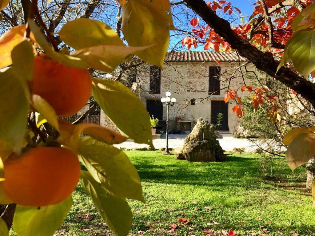Villa a Massa marittima in Via di Massa Marittima - Foto 2
