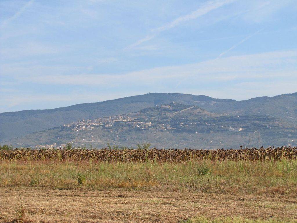 Rustico / casale a Cortona in Via di Cortona - Foto 5
