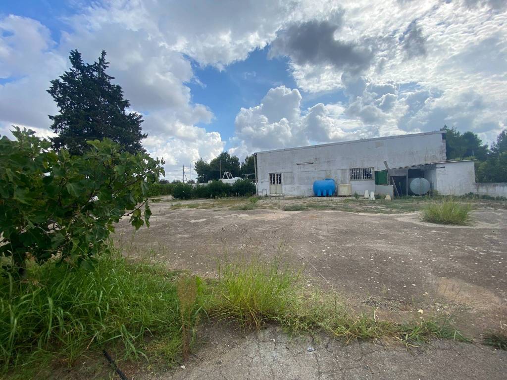 Immobile a Mesagne in Via Vecchia Ceglie - Foto 3