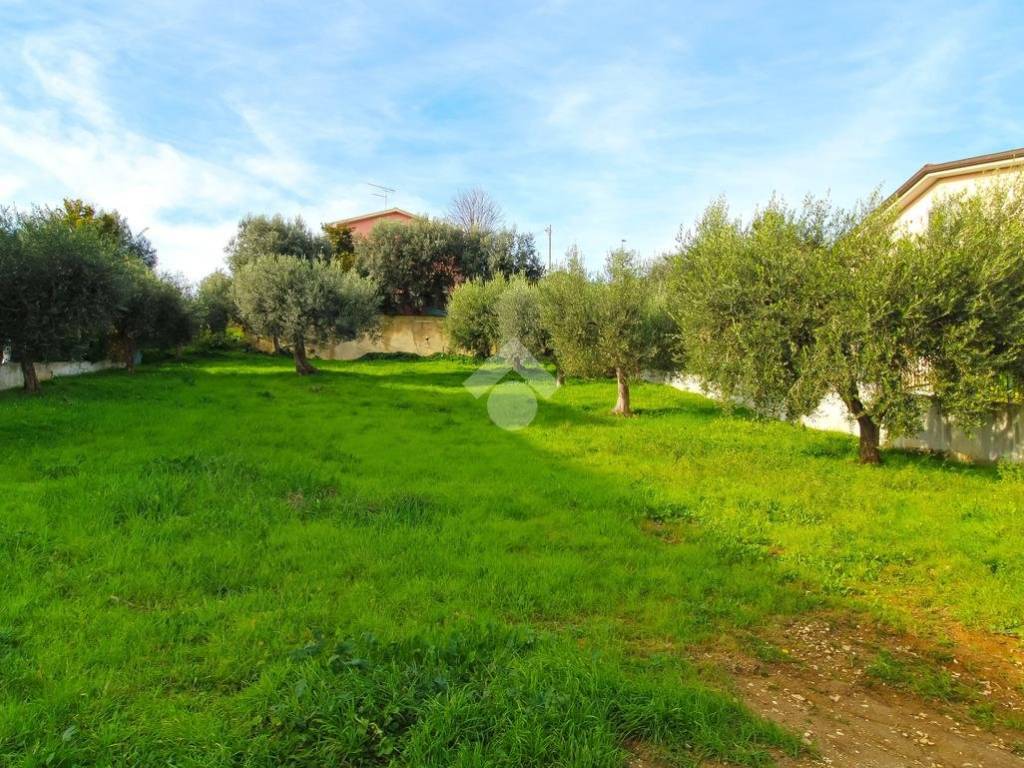 Terreno a Tortoreto in Via Ayrton Senna, 9 - Foto 2