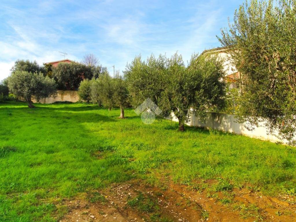 Terreno a Tortoreto in Via Ayrton Senna, 9 - Foto 3