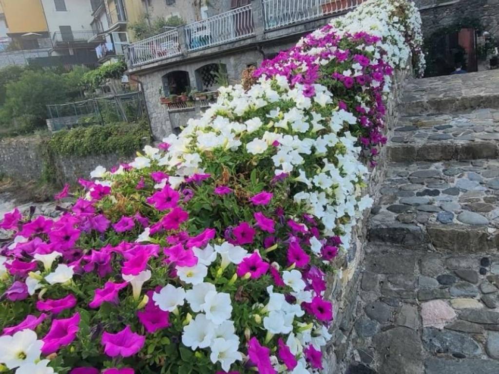 Casa indipendente a Pignone in CA DELLA TERRA - Foto 5