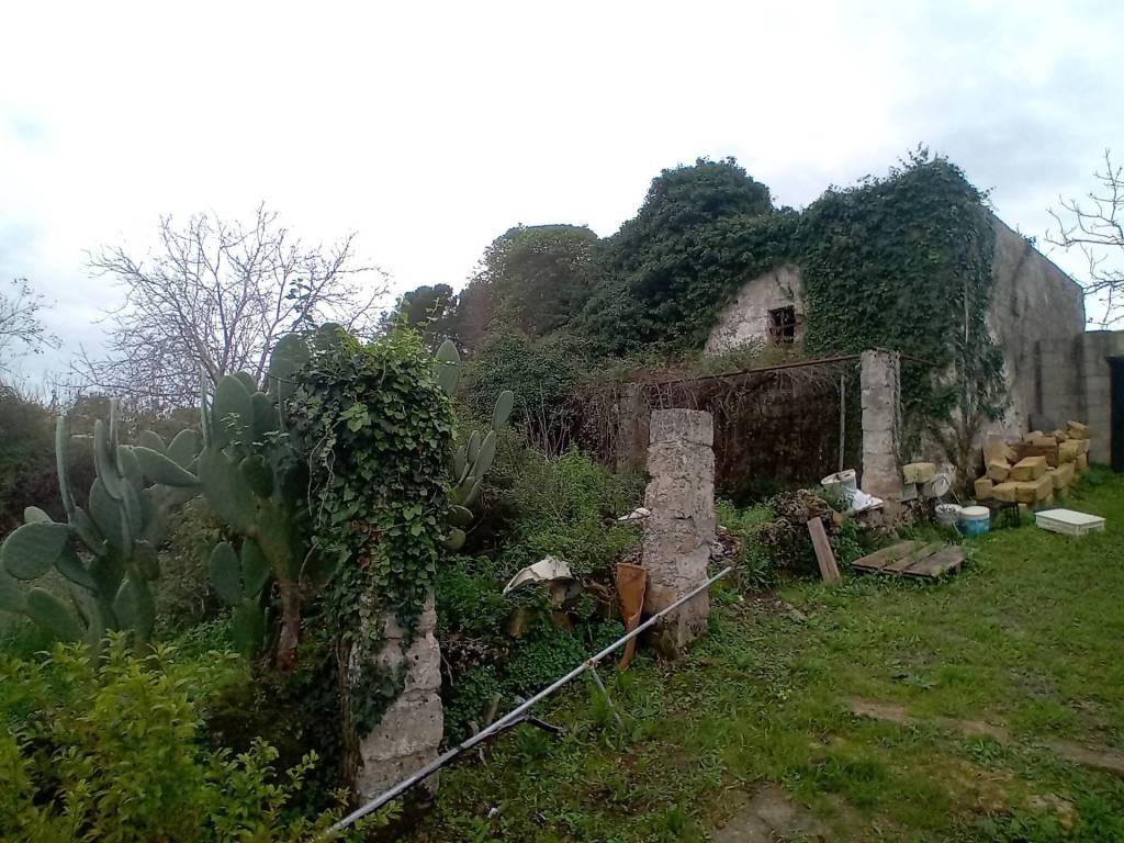 Terreno a Specchia in Strada Vicinal Voiro - Foto 4