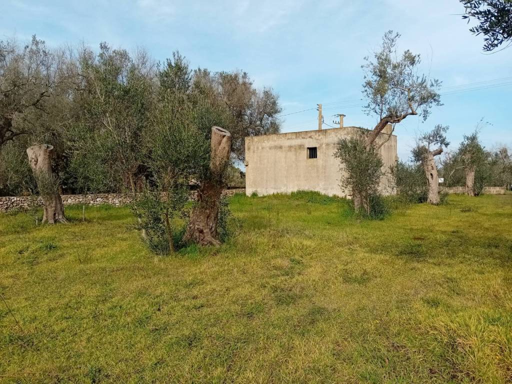 Terreno a Giuggianello in Strada Comunale Cardonito Serravecchia - Foto 2
