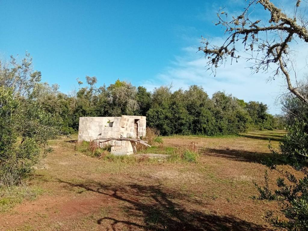 Terreno a Ortelle in Strada Comunale Vecchia Ortelle Vignacastrisi - Foto 2