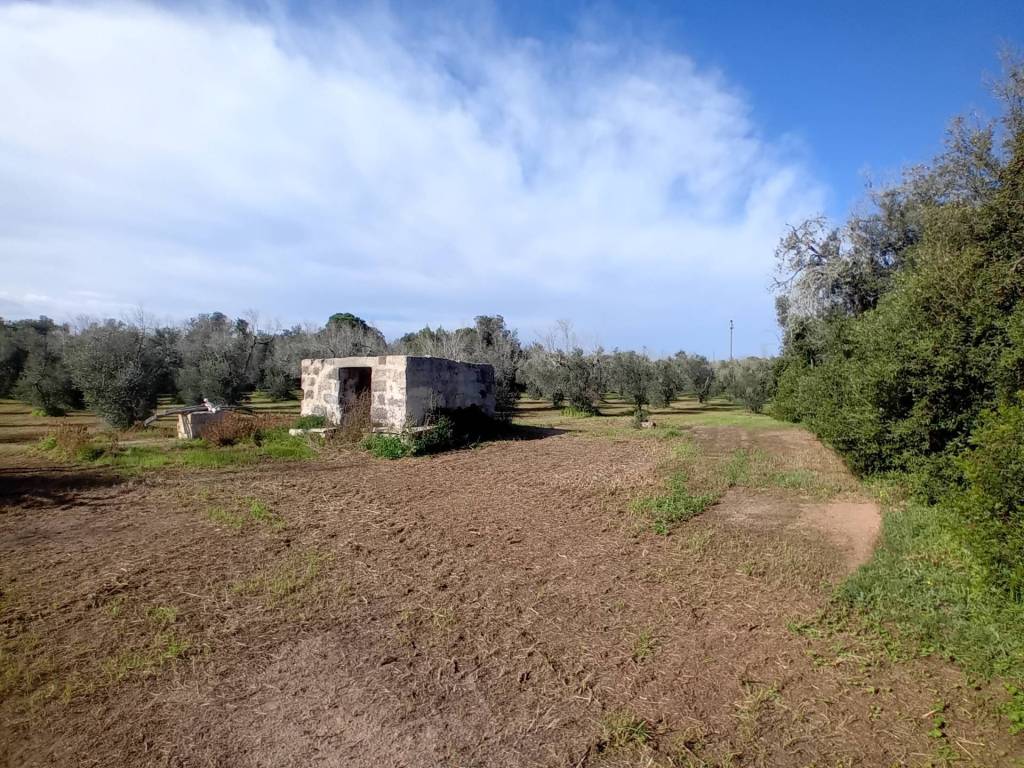 Terreno a Ortelle in Strada Comunale Vecchia Ortelle Vignacastrisi - Foto 3