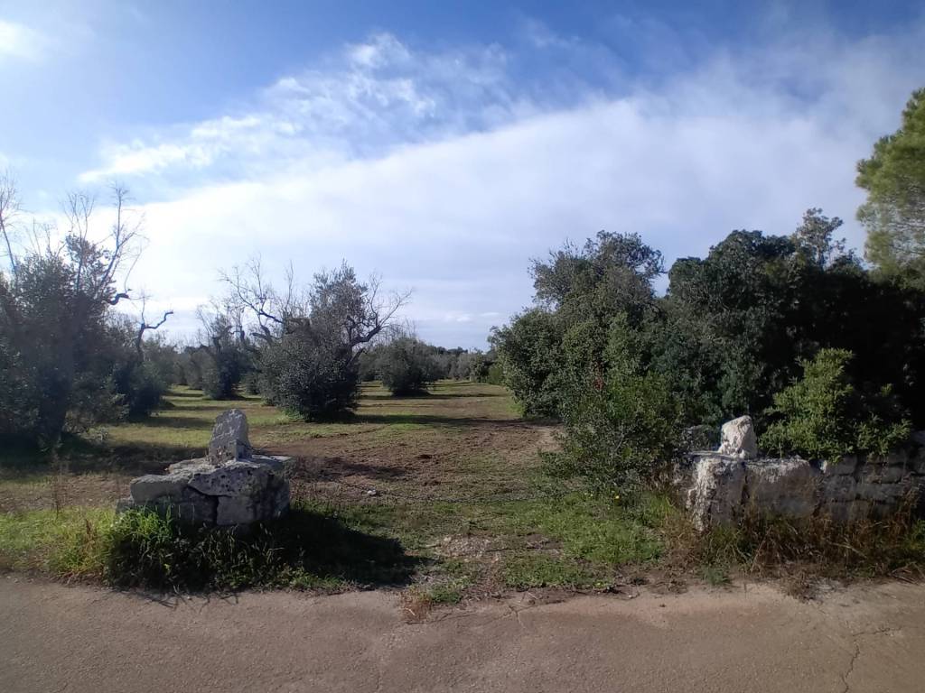 Terreno a Ortelle in Strada Comunale Vecchia Ortelle Vignacastrisi - Foto 4