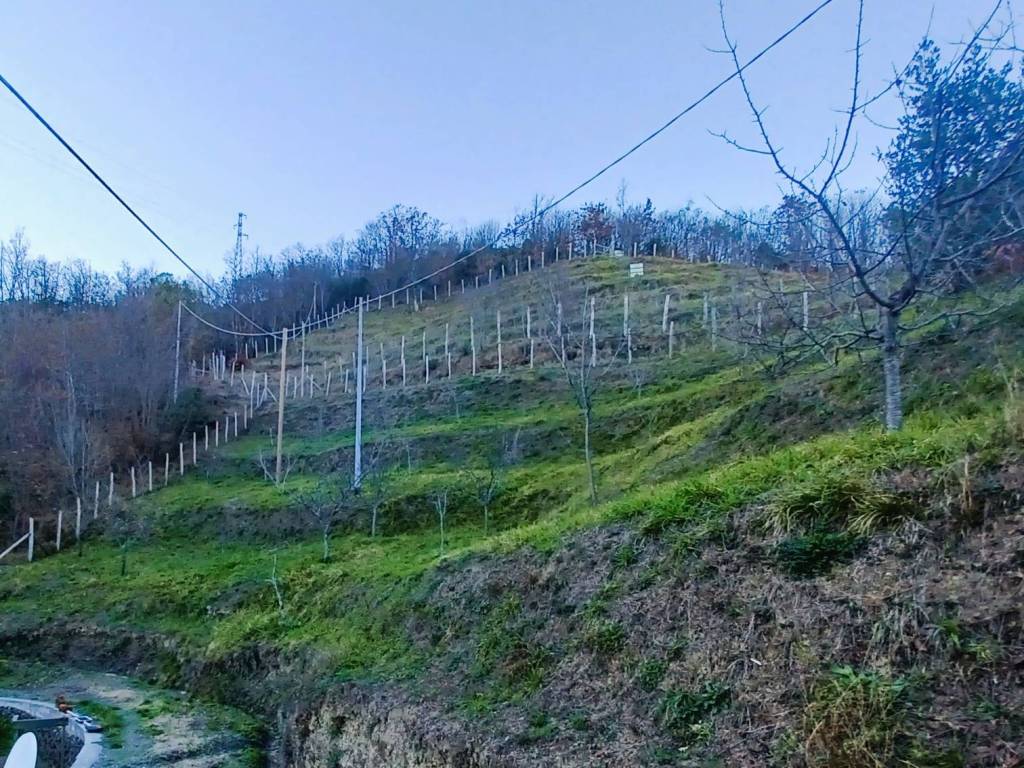 Villa a Maissana in Località Colli di Sopra - Foto 3