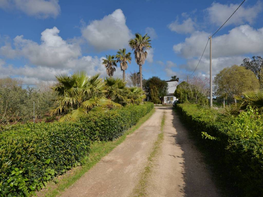 Villa a Carpignano salentino in Strada Vicinale San Cosimo - Foto 4