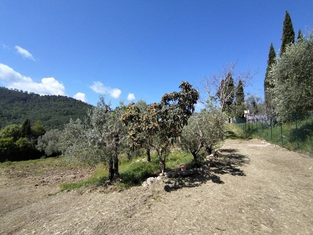 Terreno a Bagno a ripoli in Via Roma, 516 - Foto 3