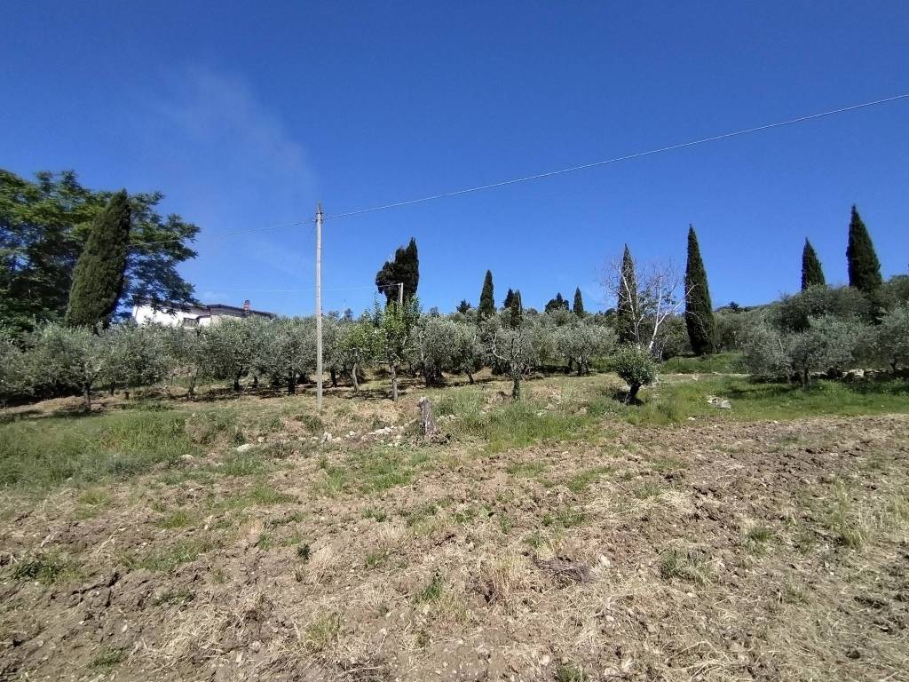 Terreno a Bagno a ripoli in Via Roma, 516 - Foto 4