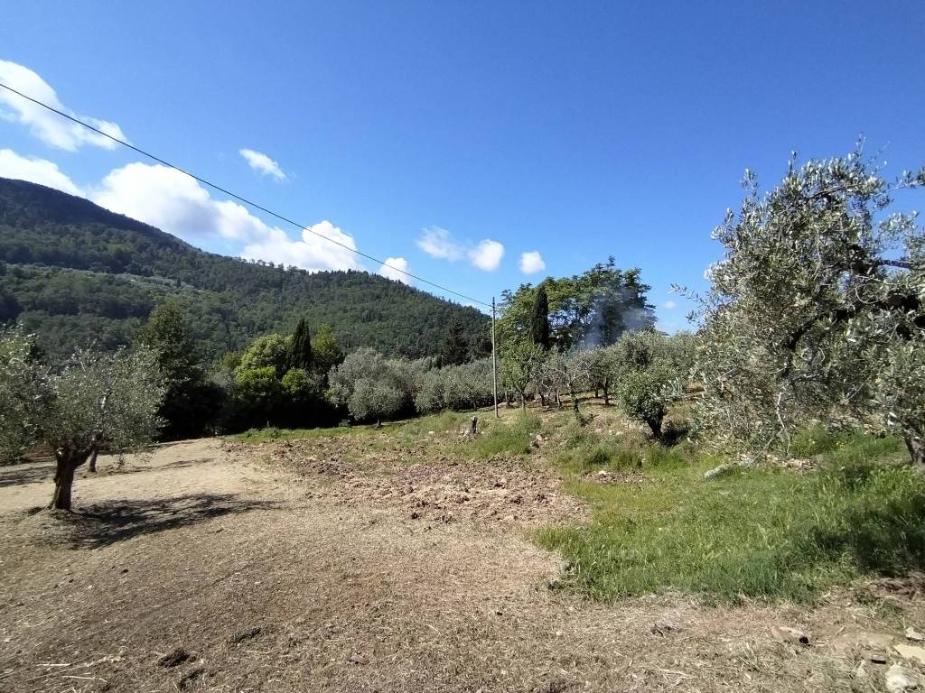 Terreno a Bagno a ripoli in Via Roma, 516 - Foto 5