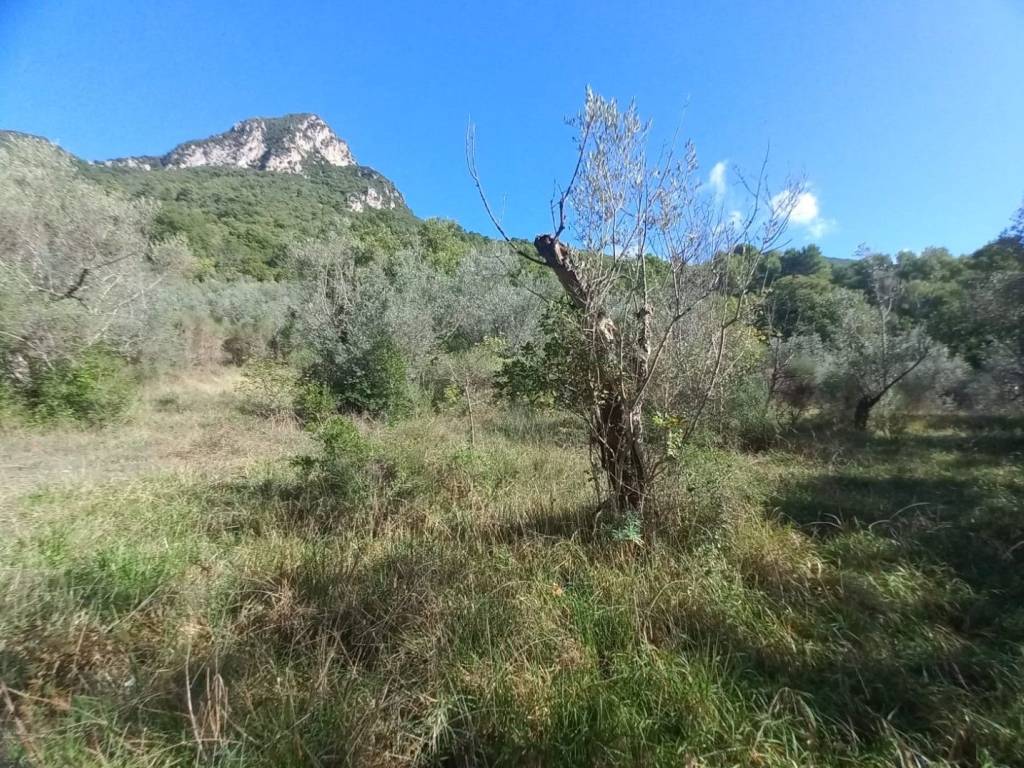 Terreno a Spoleto in Località Belvedere-Ancaiano - Foto 2