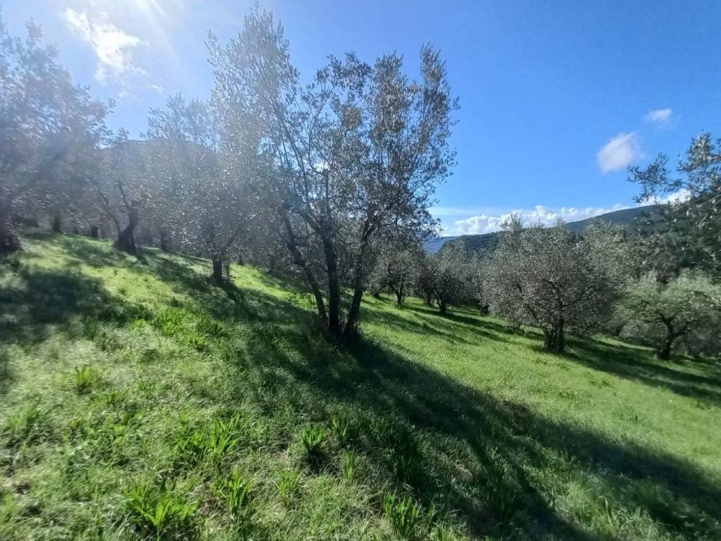 Terreno a Spoleto in Località Belvedere-Ancaiano - Foto 4