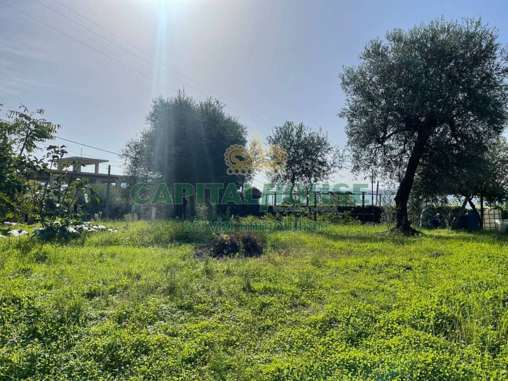 Terreno a Avella in Via dei Mulini, 39 - Foto 4