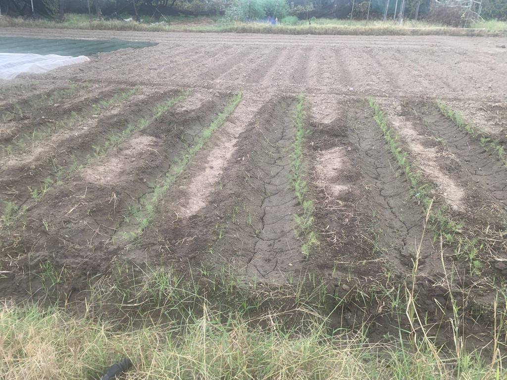 Terreno a Milazzo in Via dei Gigli, 59 - Foto 3