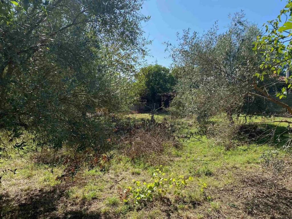 Terreno a Arce in Via San Giusta No Number - Foto 2