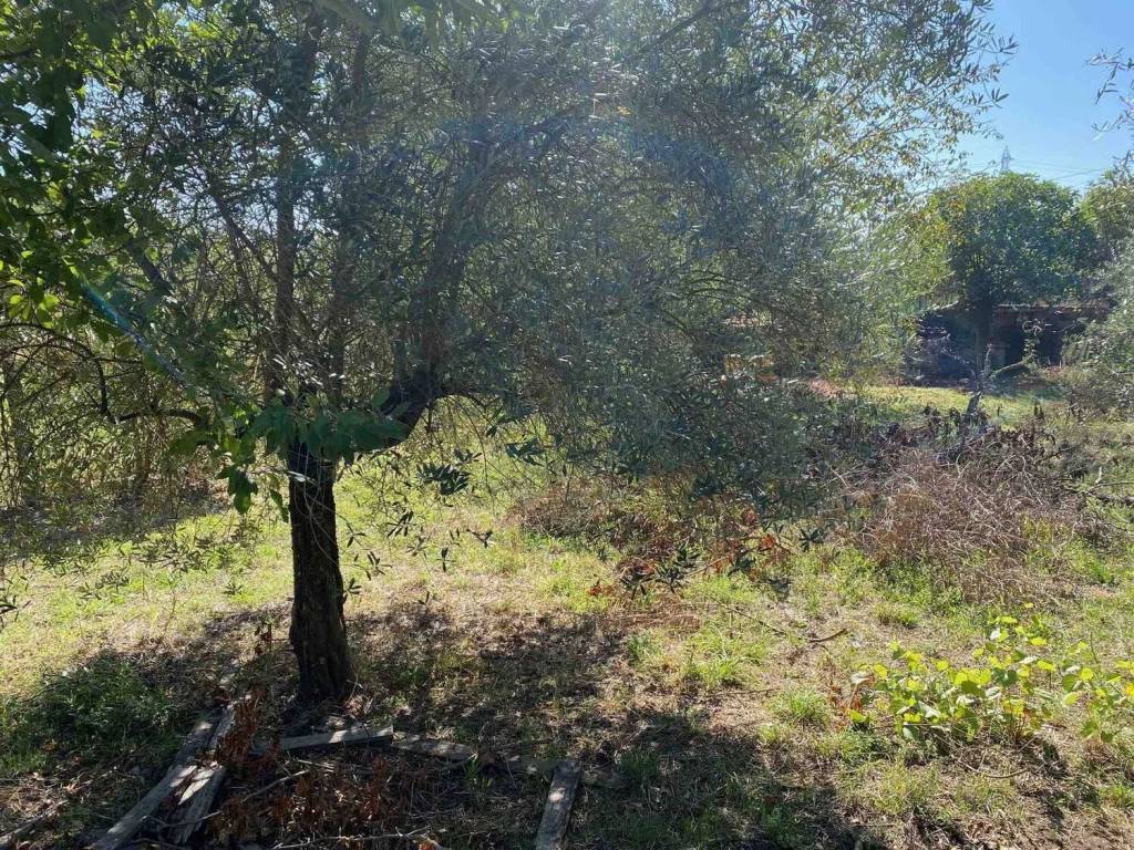 Terreno a Arce in Via San Giusta No Number - Foto 3