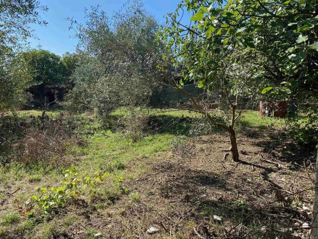Terreno a Arce in Via San Giusta No Number - Foto 4