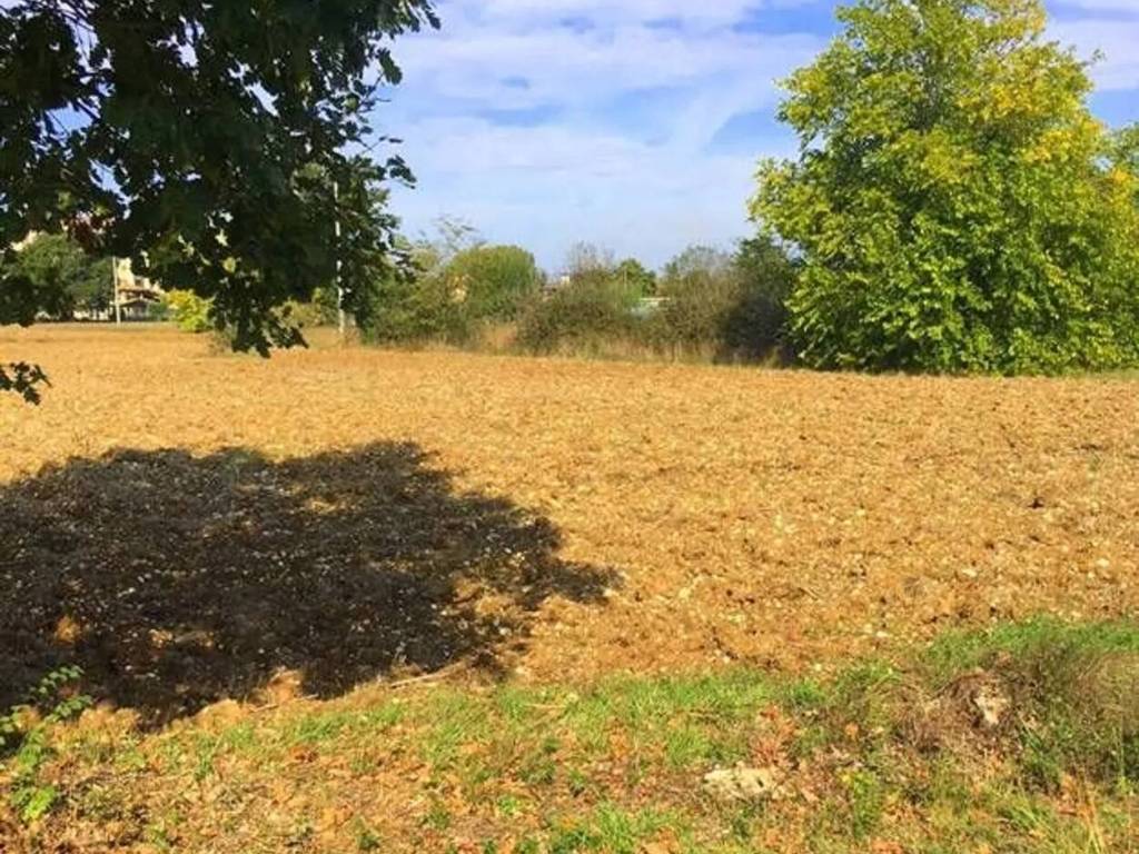 Terreno a Ceprano in Via Cornete Prima Traversa - Foto 4