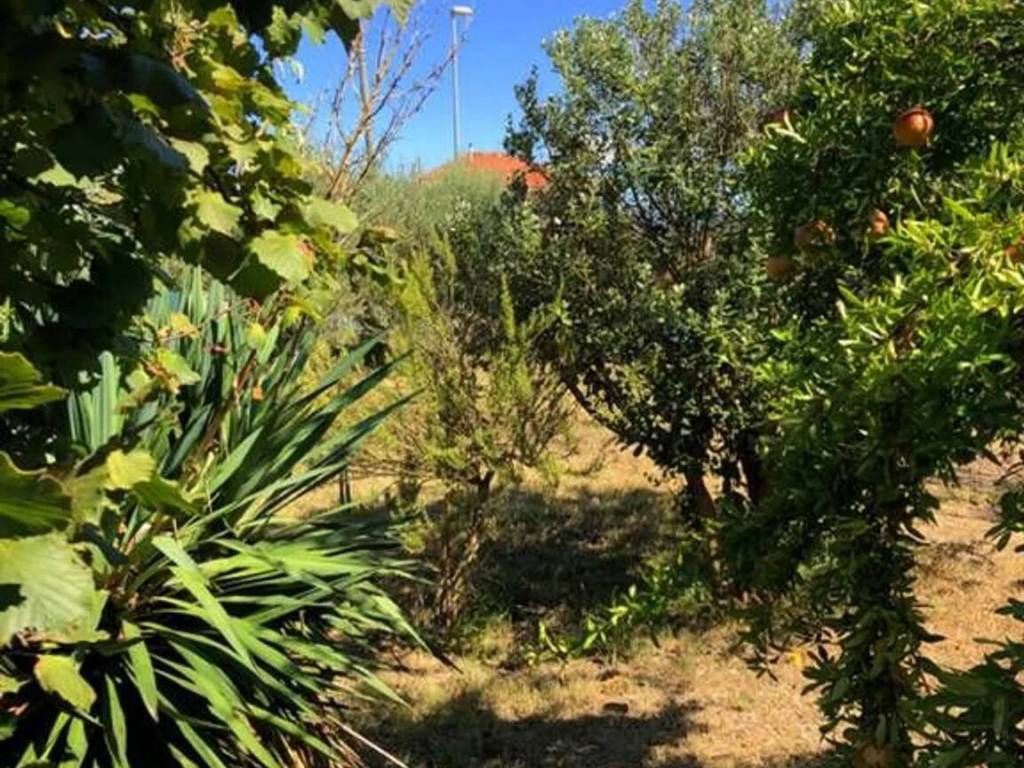 Villa a Ceprano in Via Franconi, 3 - Foto 4