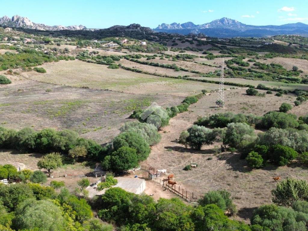Terreno a Arzachena in Loc. Bilianu Saldu - Foto 4