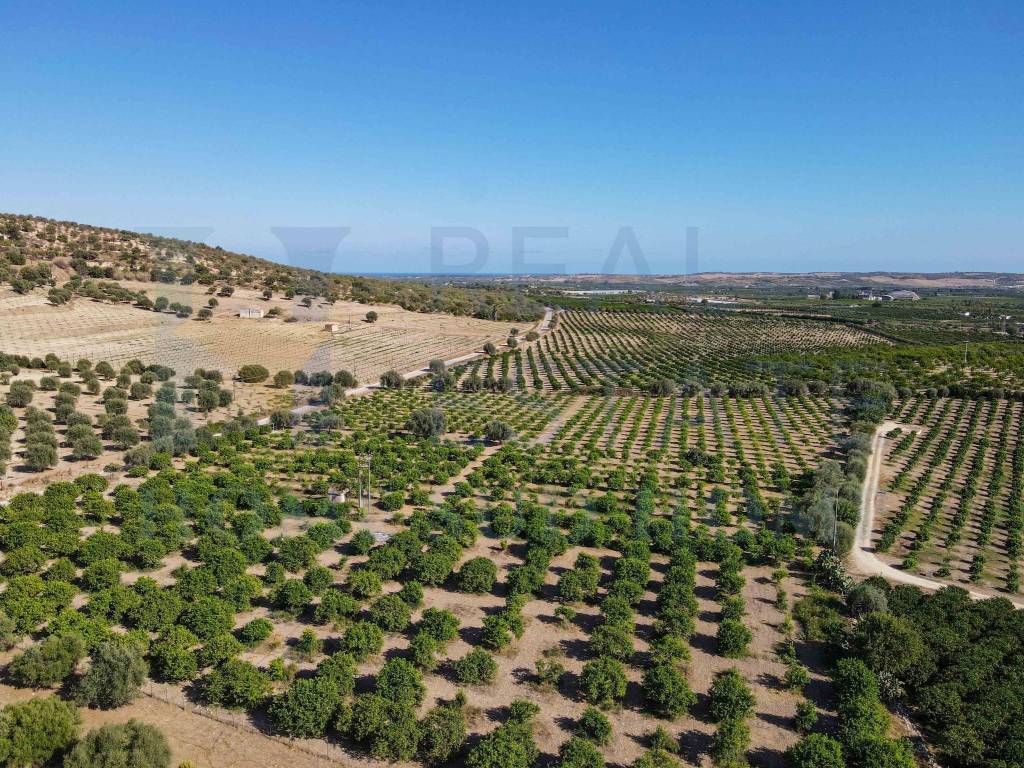 Rustico / casale a Noto in Via Tommaso Fazello, 228 - Foto 5