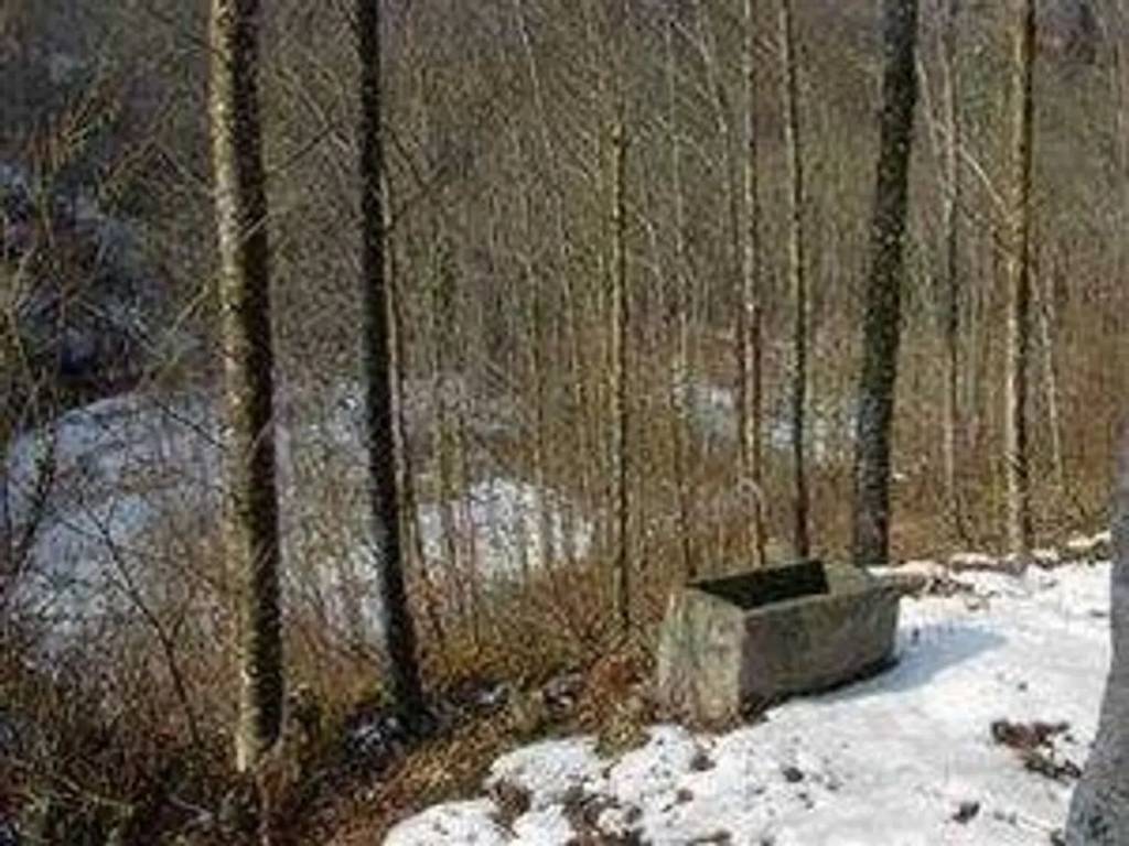 Rustico / casale a Armeno - Foto 4