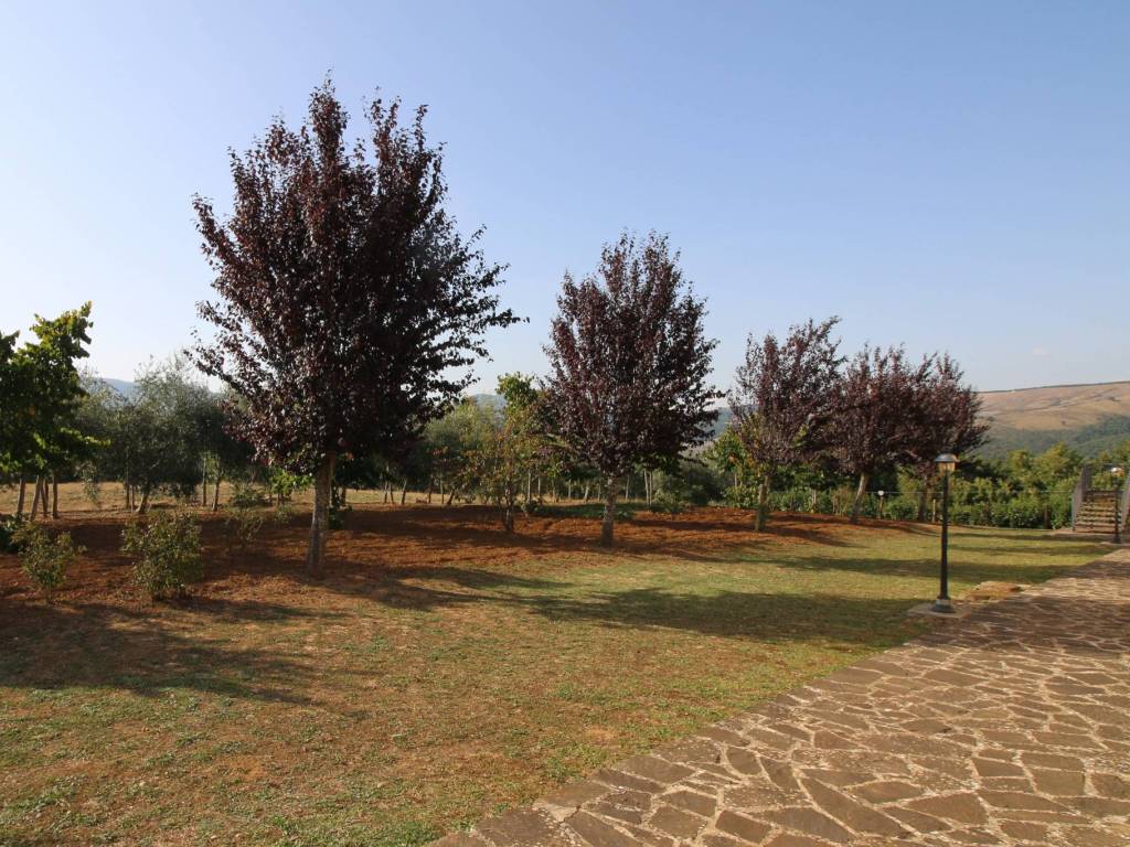 Terreno a Calvello in Contrada Sant'Elia - Foto 3