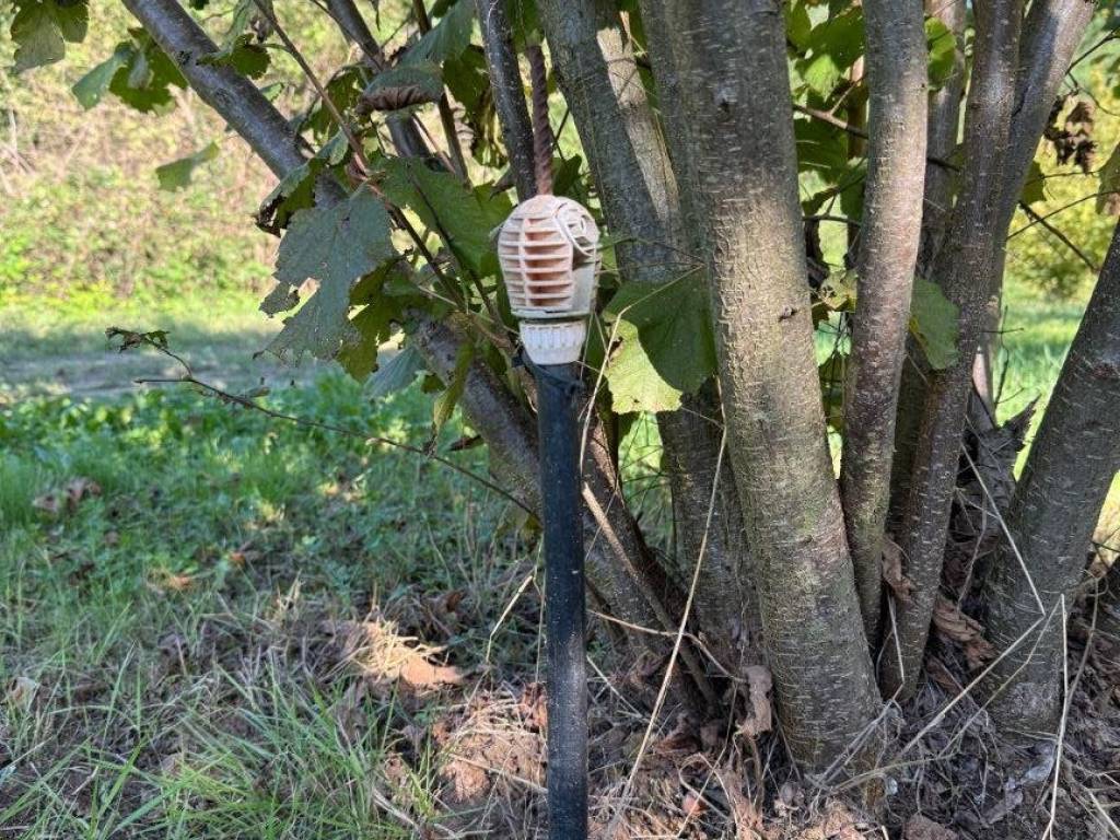 Terreno a Sommariva perno in Strada Vicinale del Boriasso - Foto 3