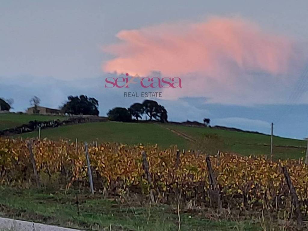 Casa indipendente a Magliano in toscana in Cupi-Mgliano in Toscana - Foto 4