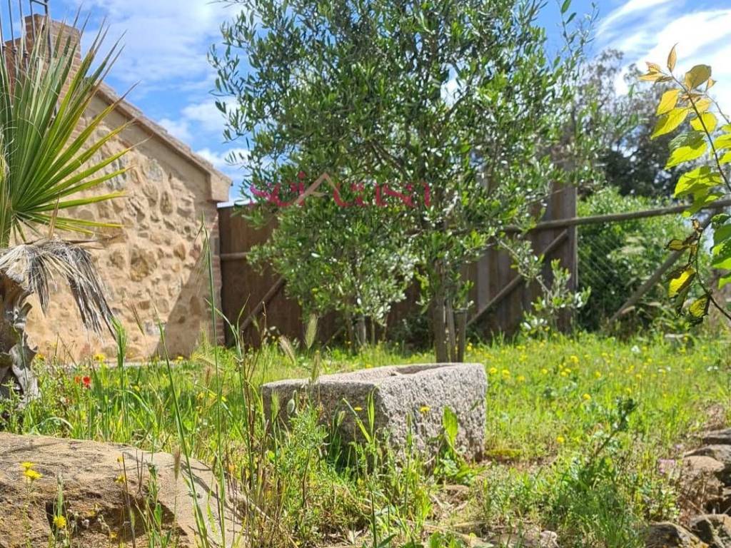 Casa indipendente a Magliano in toscana in Cupi-Mgliano in Toscana - Foto 5