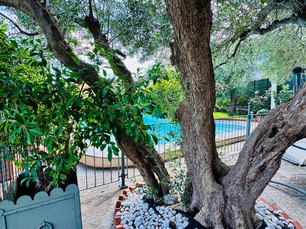 Villa a Albissola marina in Via A. Massardo, 50 - Foto 4