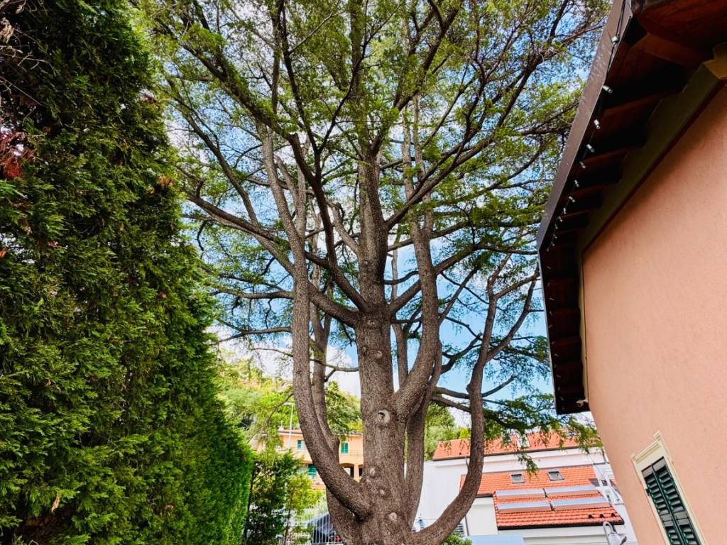 Villa a Albissola marina in Via A. Massardo, 50 - Foto 5