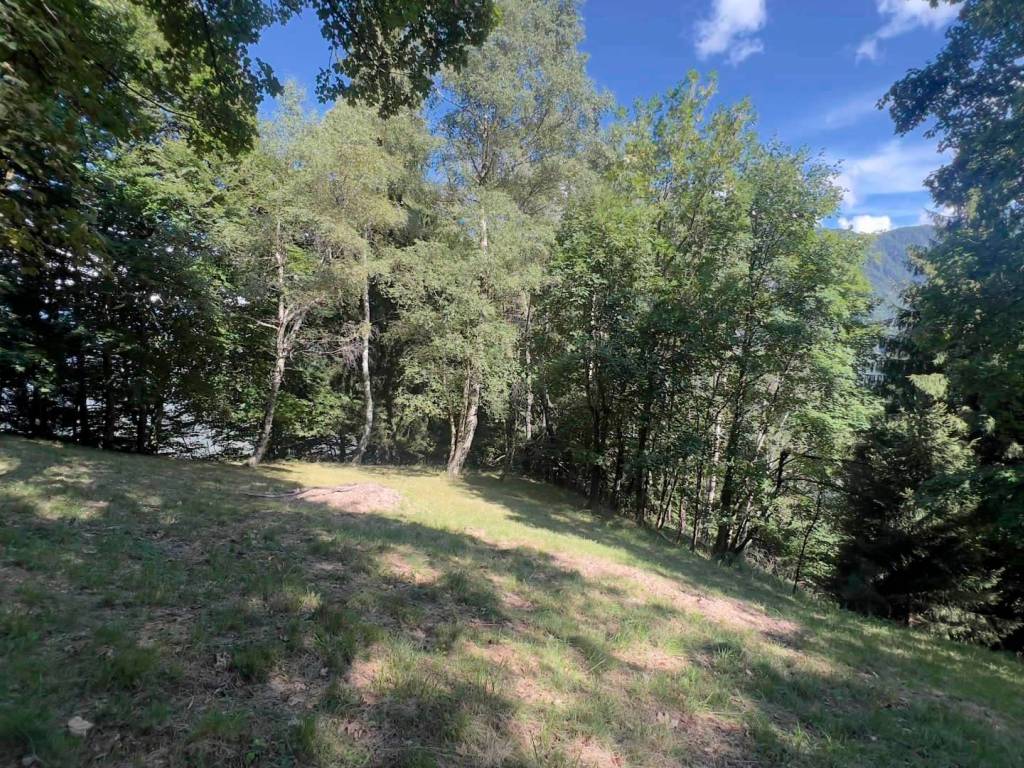 Rustico / casale a Pedesina - Foto 2