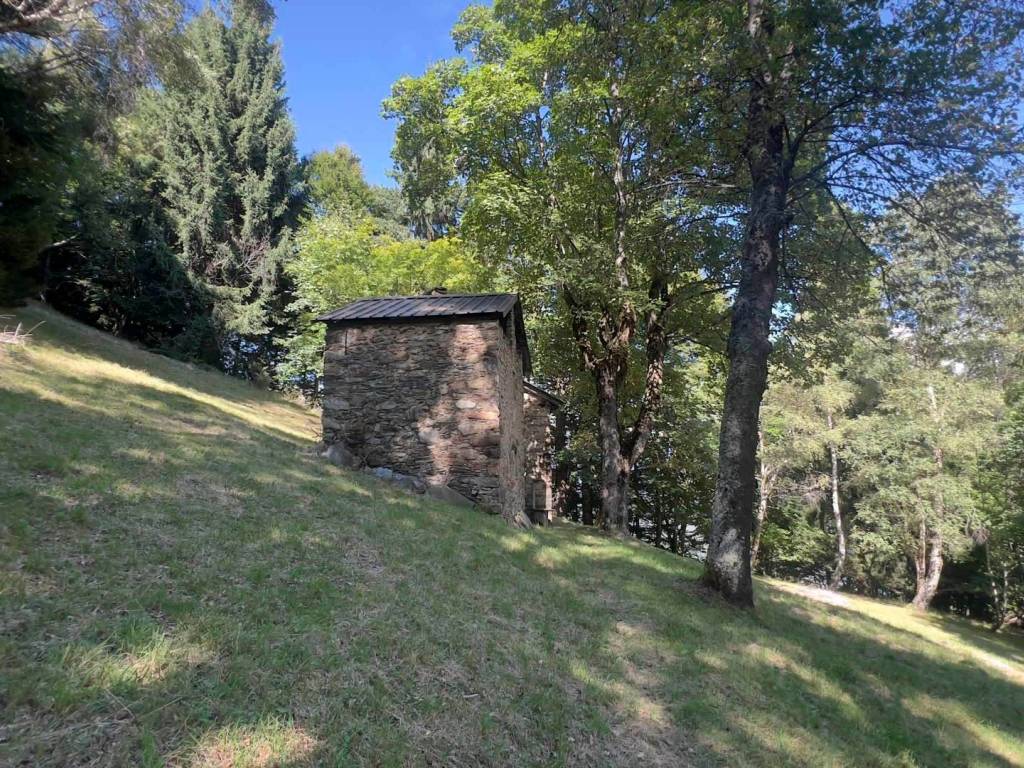 Rustico / casale a Pedesina - Foto 3