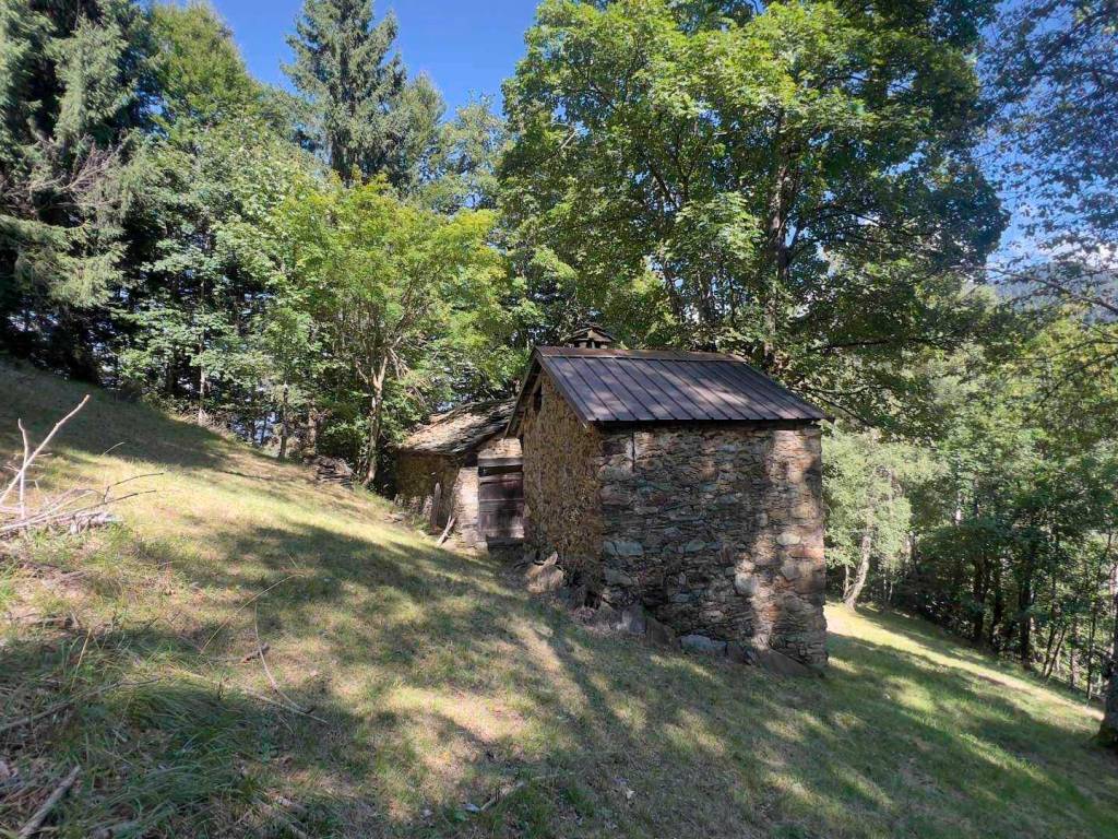 Rustico / casale a Pedesina - Foto 4