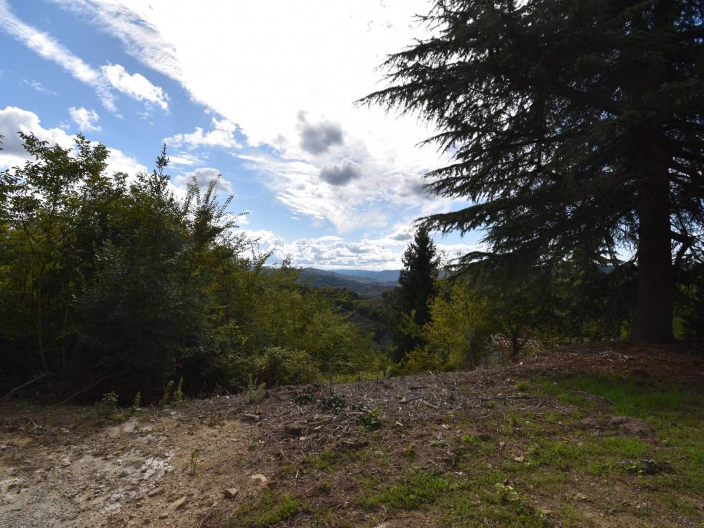 Rustico / casale a Cassinasco in Regione Sconi - Foto 2