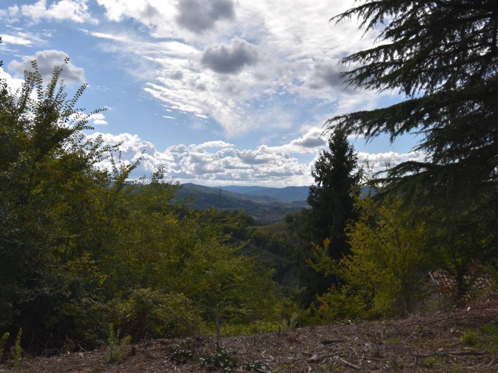 Rustico / casale a Cassinasco in Regione Sconi - Foto 3