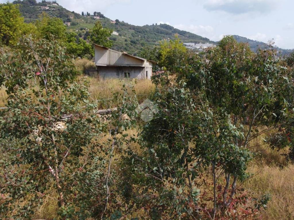 Rustico / casale a Vallecrosia in Regione Lautra - Foto 4
