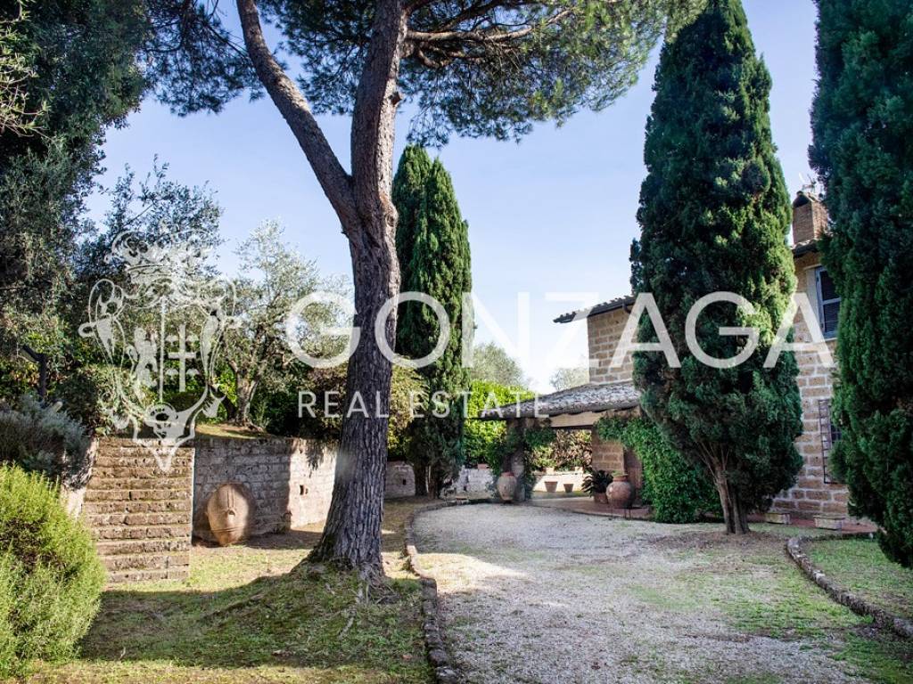 Rustico / casale a Vignanello - Foto 5