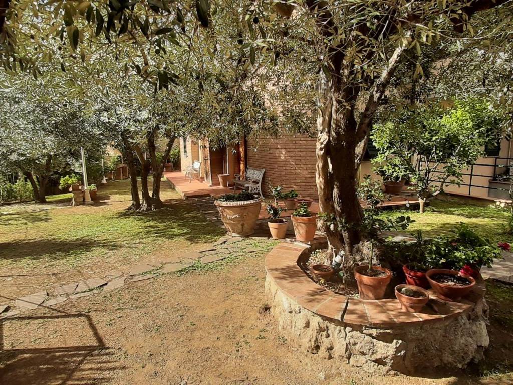 Casa indipendente a Rosignano marittimo - Foto 2